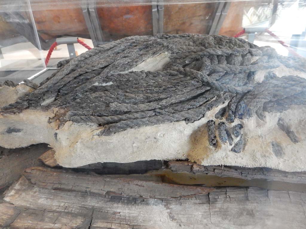 Herculaneum, June 2019. Coil of rope found in the SW Baths Complex in the Insula Occidentalis.
The rope was found on top of some wooden planking, probably belonging to a boat that had been dismantled in the Roman period.
Various layers of leather had been placed on top of the rope, some of which preserves signs of stitching. 
Photo courtesy of Buzz Ferebee.
