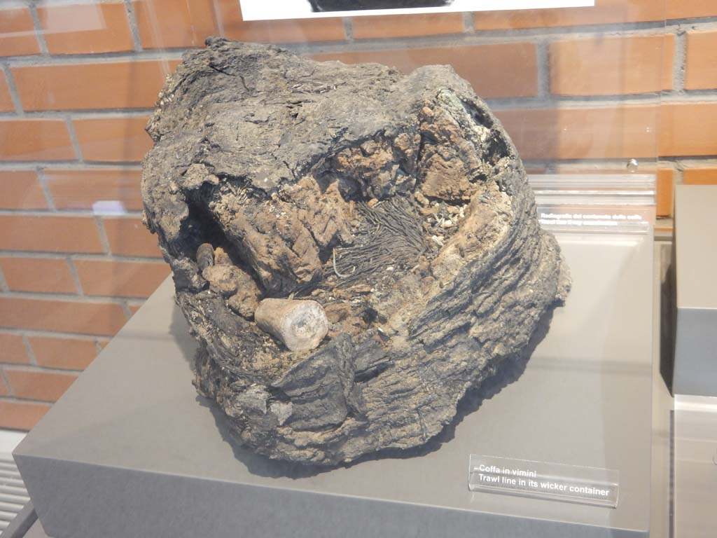 Herculaneum, June 2019. Trawl line in a wicker basket. Photo courtesy of Buzz Ferebee.
According to the information card –
This wicker basket with its lid was recovered, then x-rayed to show it contained a trawl line, one of the oldest pieces of equipment used by fishermen in the Mediterranean. The long main rope was carefully laid in its container, hooks were attached to it at regular intervals with pieces of line.
The size of the hooks influenced which fish were caught, showing that the Romans were fishing selectively.
The preferred equipment of working fishermen were wide nets made of vegetable fibres, mainly flax, weighed down by lead weights and with cork floats (sagena) on the edges.
A lone fisherman working from the beach could use a casting net (iaculum), still widely used in the Bay of Naples until the last century.
This conical net was thrown with the opening downwards. Having reached the bottom, the net was then brought in, lines closed off the opening so that the fish could not get out. 
For calling and signalling, fishermen used a large shell, called a triton, with the point cut off. 
This was one of the largest gastropods in the Mediterranean, and it was used for this purpose throughout ancient times.”


