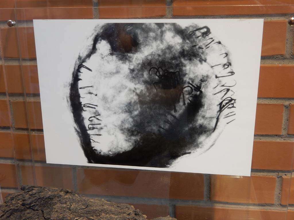 Herculaneum, June 2019. X-ray of wicker basket showing the hooks. Photo courtesy of Buzz Ferebee.