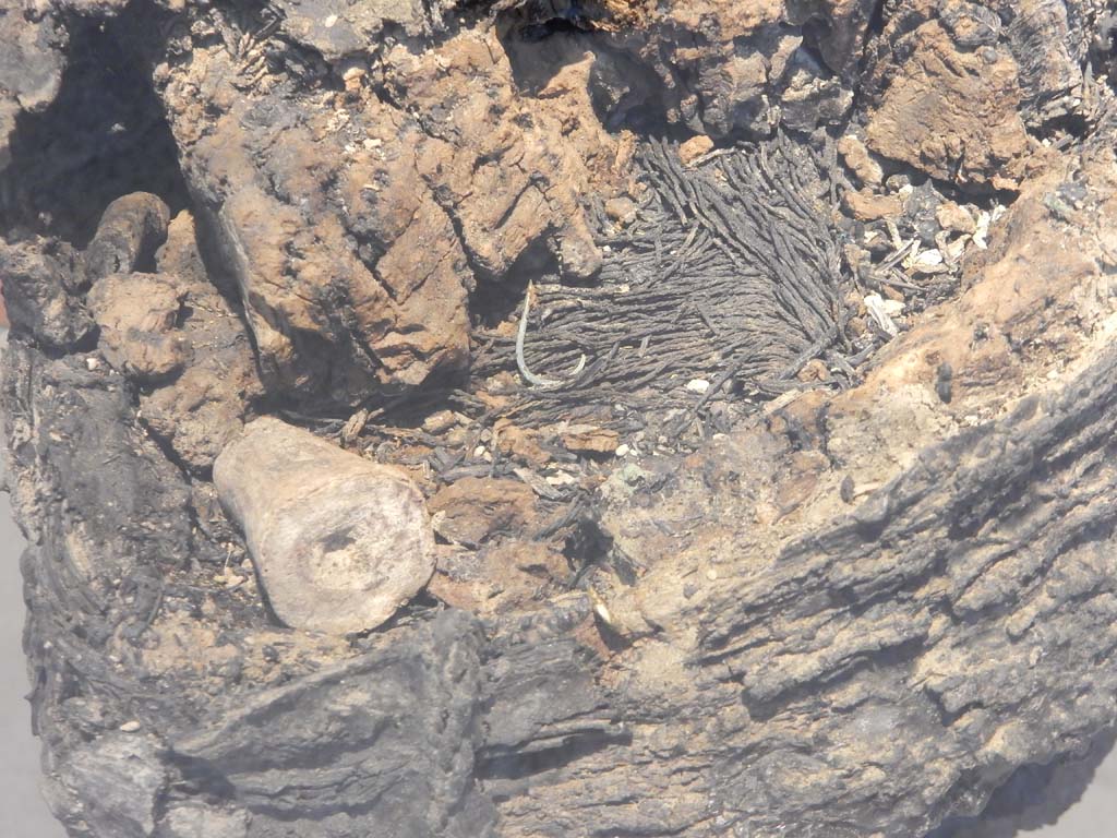 Herculaneum, June 2019. Detail of trawl line in wicker basket. Photo courtesy of Buzz Ferebee.