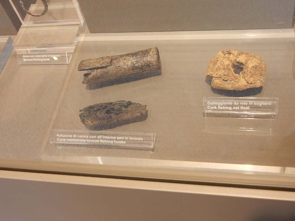 Herculaneum, June 2019. Cane containing bronze fishing hooks, and cork fishing net float.
Photo courtesy of Buzz Ferebee.
