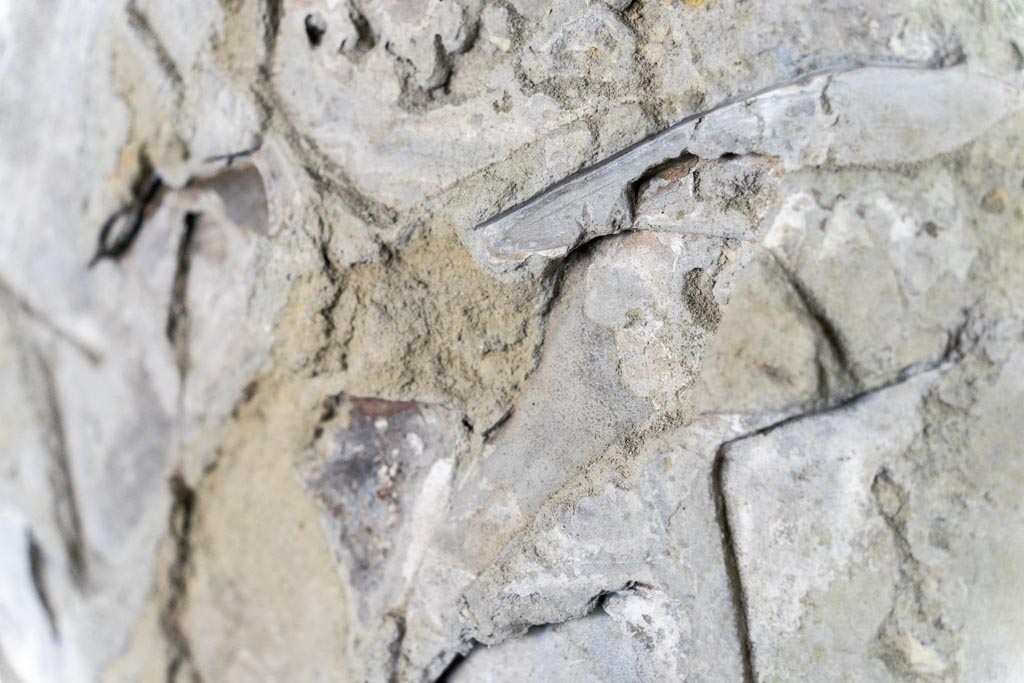 Herculaneum Suburban Baths. October 2023. 
Detail of the cast of the basin and shards of glass buried in the cast. Photo courtesy of Johannes Eber. 
