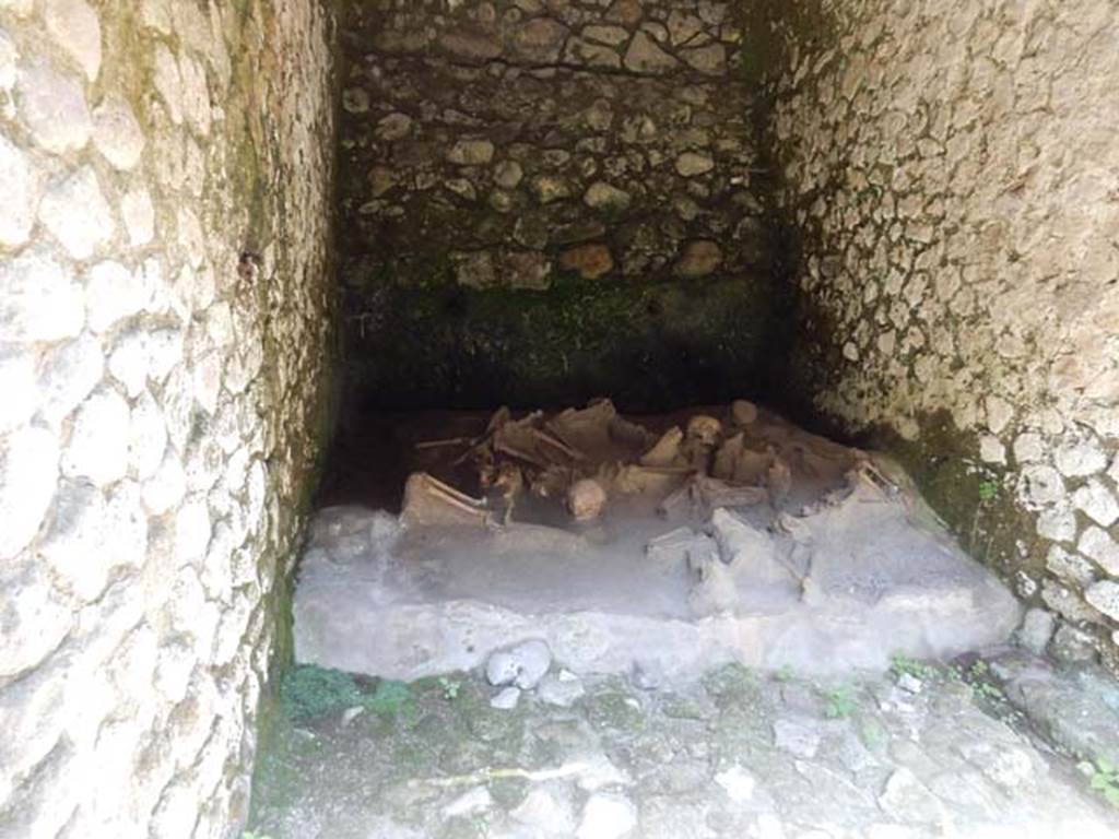 Beachfront, Herculaneum, May 2018. Boatshed 1. Photo courtesy of Buzz Ferebee.