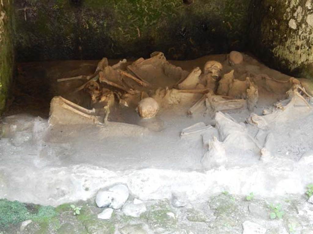 Beachfront, Herculaneum, May 2018. Boatshed 1, fugitives. Photo courtesy of Buzz Ferebee.