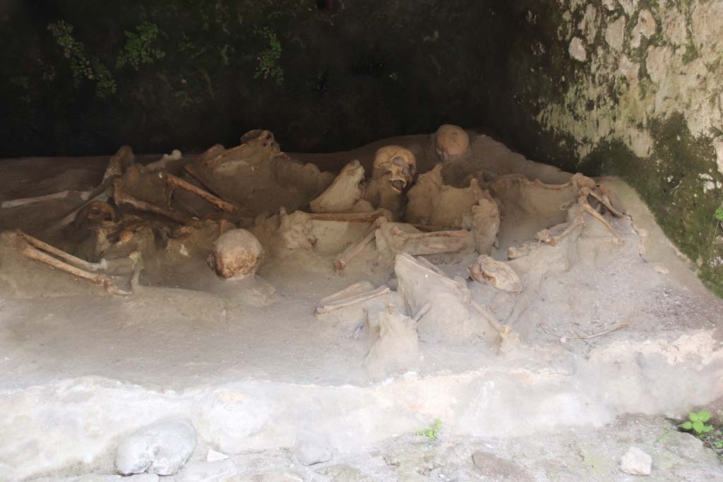 Beachfront, Herculaneum, September 2017. Boatshed 1, detail of some of the skeletons of fugitives. 
Photo courtesy of Klaus Heese.
