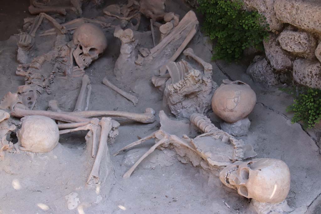 Beachfront, Herculaneum, September 2019. Detail from Boatshed 2. Photo courtesy of Klaus Heese.