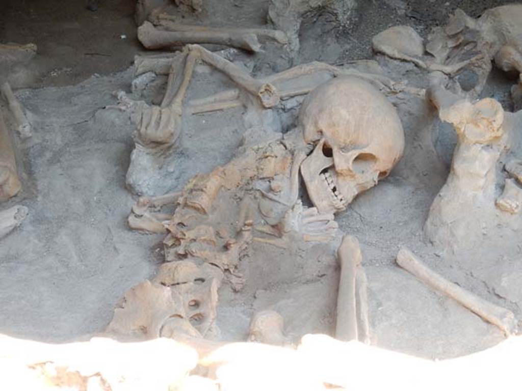 Beachfront, Herculaneum, May 2018. Detail from Boatshed 2. Photo courtesy of Buzz Ferebee.