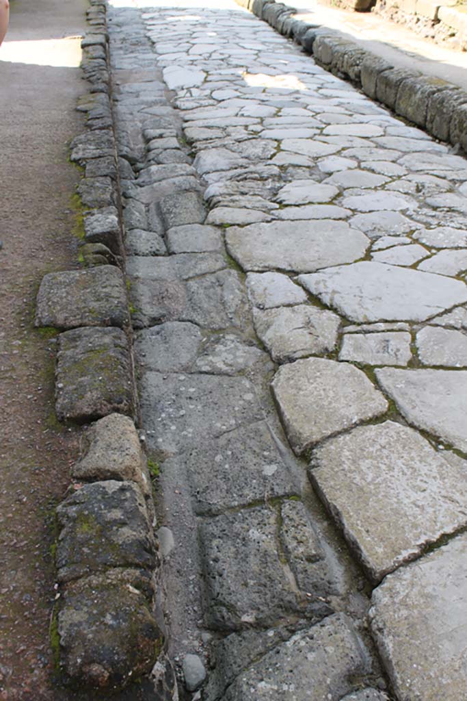 Cardo V, Herculaneum. March 2014. Looking south along roadway, with detail from east side.   
Foto Annette Haug, ERC Grant 681269 DÉCOR

