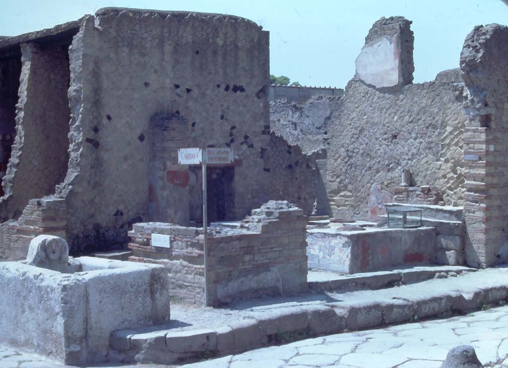 Ins. IV with fountain, at junction of Cardo V, on left, and Decumanus Inferiore, on right. 7th August 1976.
Photo courtesy of Rick Bauer, from Dr George Fay’s slides collection.
