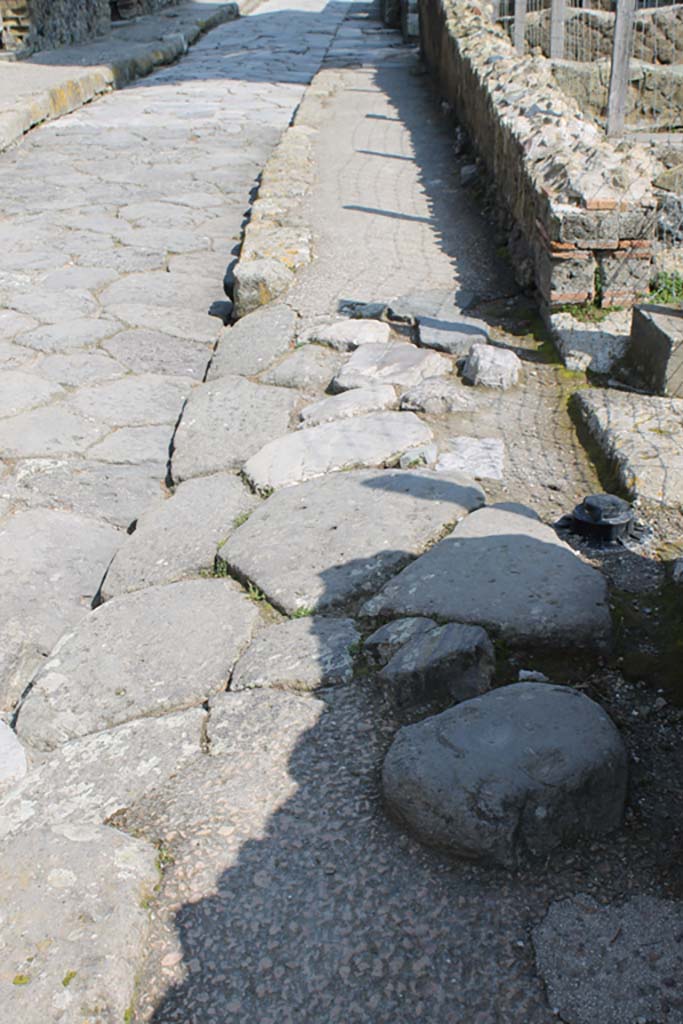 Ins. Orientalis I.3, Herculaneum. March 2014. 
Looking north on east side of Cardo V, with ramp outside of entrance doorway. 
Foto Annette Haug, ERC Grant 681269 DÉCOR

