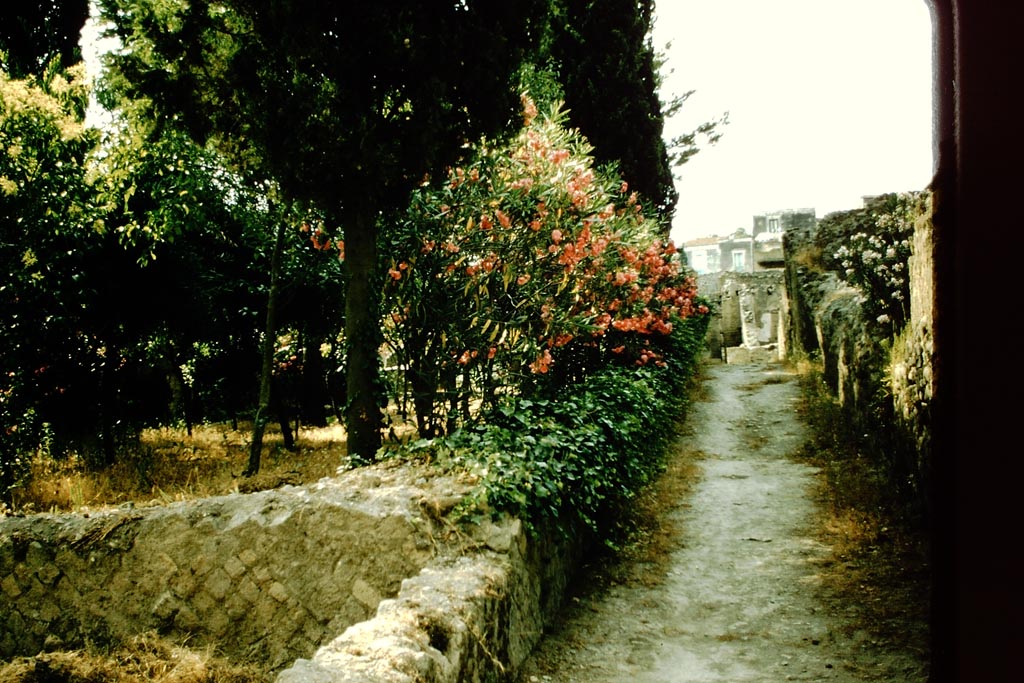 Vicolo Meridionale, looking west towards Cardo V, with area of Ins. Or. I.3, on left, part of the north garden of Ins. Or. I.2. 
1957. Photo by Stanley A. Jashemski.
Source: The Wilhelmina and Stanley A. Jashemski archive in the University of Maryland Library, Special Collections (See collection page) and made available under the Creative Commons Attribution-Non Commercial License v.4. See Licence and use details.
J57f0454
