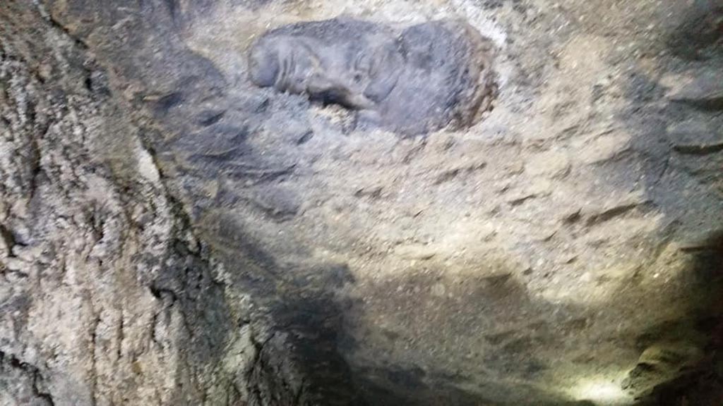 Herculaneum Theatre, photo taken between October 2014 and November 2019. 
Vault of the tunnel with imprint of face from marble statue of Marcus Nonius Balbus embedded in the passageway. 
Photo courtesy of Giuseppe Ciaramella.
