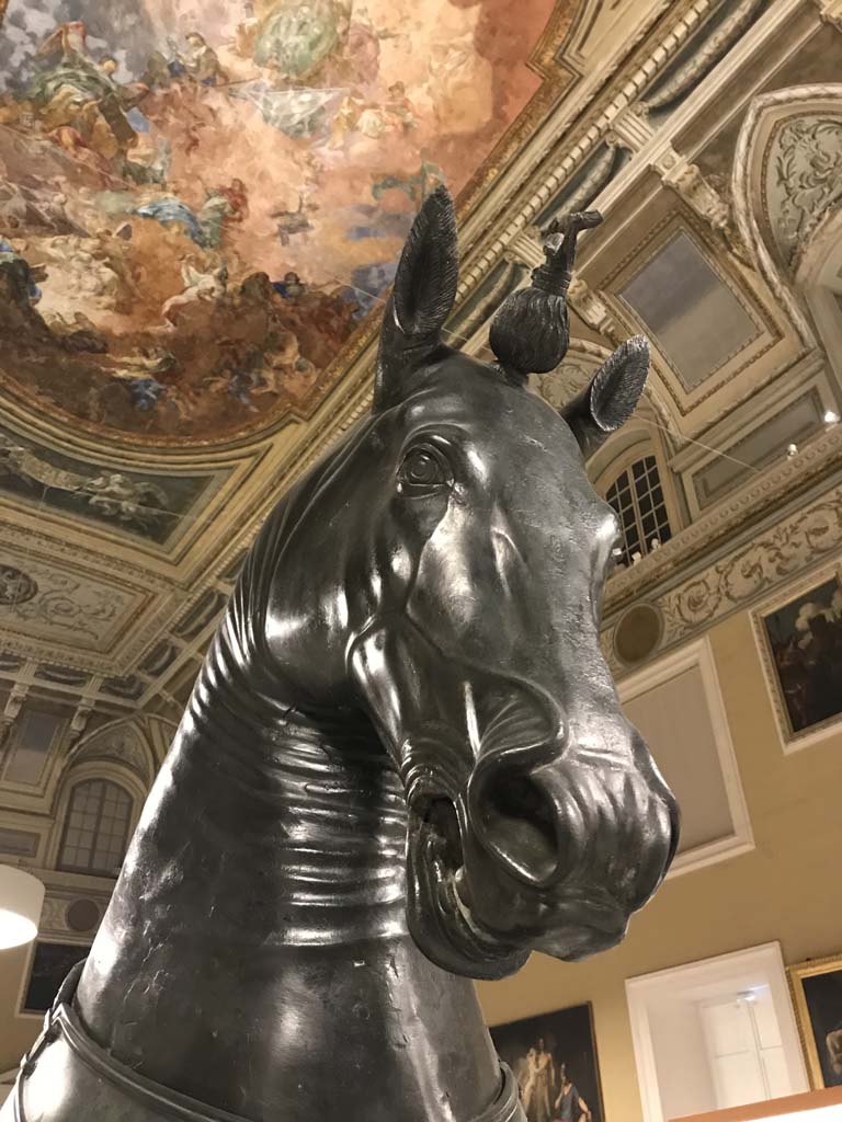 Herculaneum Theatre. April 2019. Head of Mazzocchi horse found in May 1739.
Now in Naples Archaeological Museum. Inventory number 4904.
Photo courtesy of Rick Bauer.
