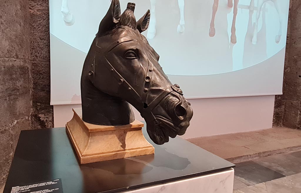 Herculaneum, April 2023. 
Horse’s head belonging to a gilded bronze statue of horse and rider, inv. 115390, from a public space in the city. Photo courtesy of Giuseppe Ciaramella.
