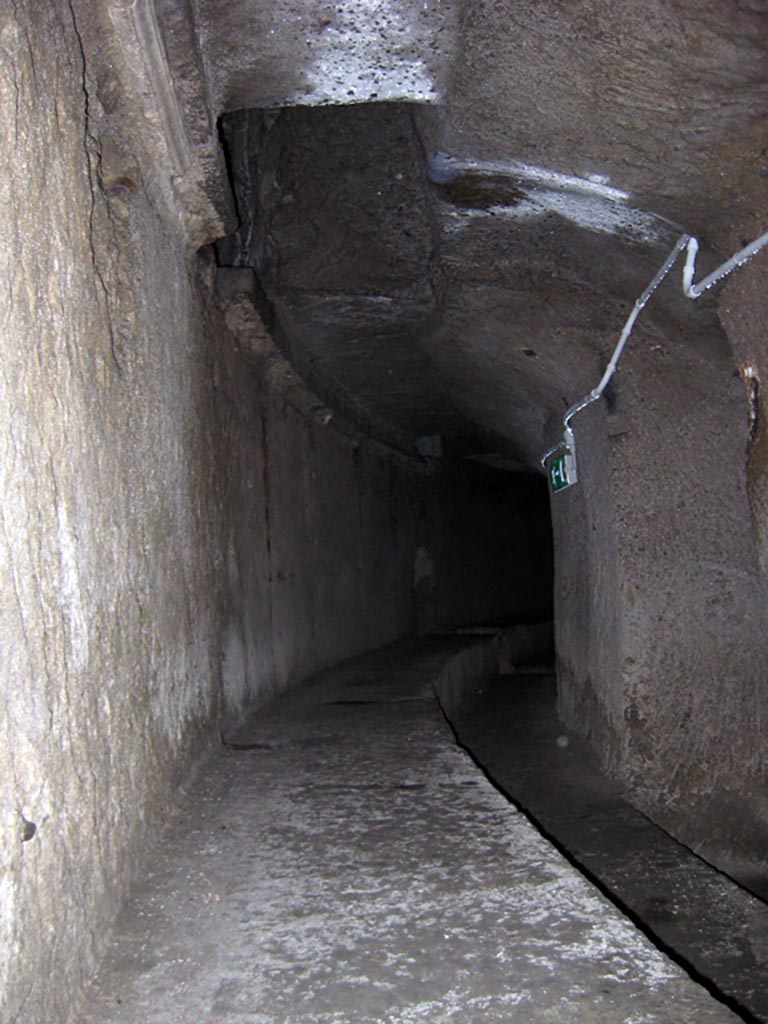 Herculaneum Theatre, July 2009. Cavea. Photo courtesy of Sera Baker.