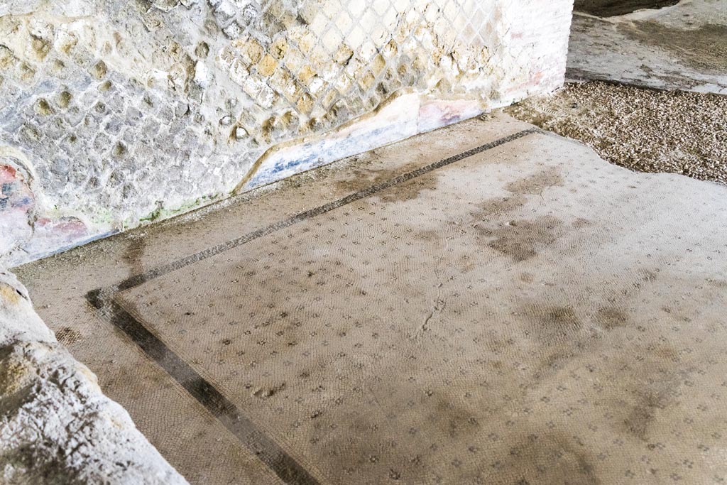 Herculaneum Villa dei Papiri. October 2023. 
Room (d), west ala, looking along north wall and mosaic flooring. Photo courtesy of Johannes Eber. 
