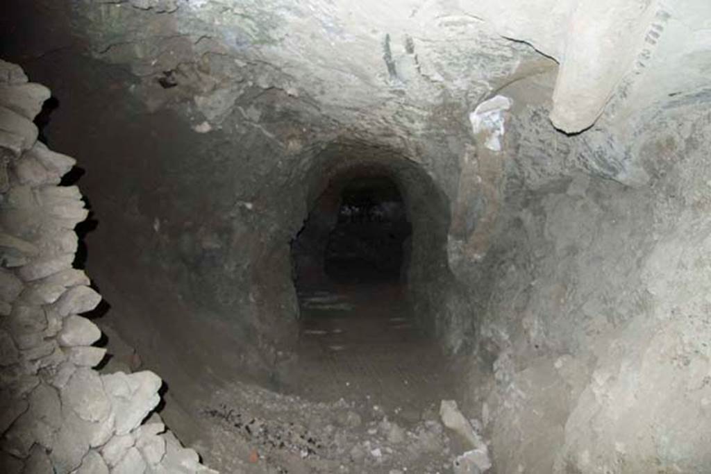 Villa dei Papiri, Herculaneum. July 2010. Looking into a Bourbon tunnel. Photo courtesy of Michael Binns.


