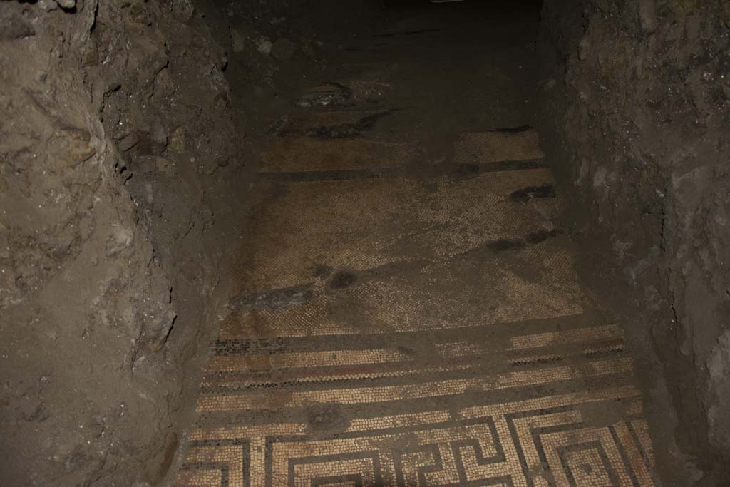 Villa dei Papiri, March 2019. Flooring in Bourbon tunnel.
Foto Annette Haug, ERC Grant 681269 DÉCOR.
