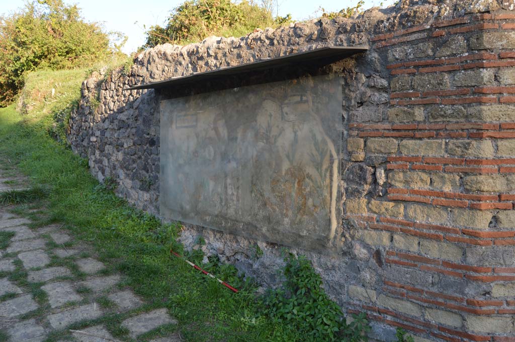 Painted street shrine on the wall at V.6.19 Pompeii. October 2017. Looking south-east towards painted street shrine.
Foto Taylor Lauritsen, ERC Grant 681269 DÉCOR.

