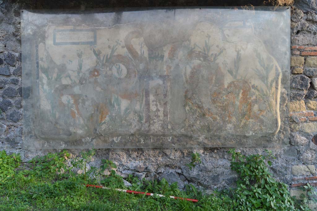 V.6.19 Pompeii. October 2017. Detail of painted lararium on exterior wall.
Foto Taylor Lauritsen, ERC Grant 681269 DÉCOR.

