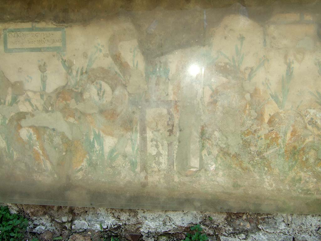 Painted street shrine on the wall at V.6.19. May 2006.