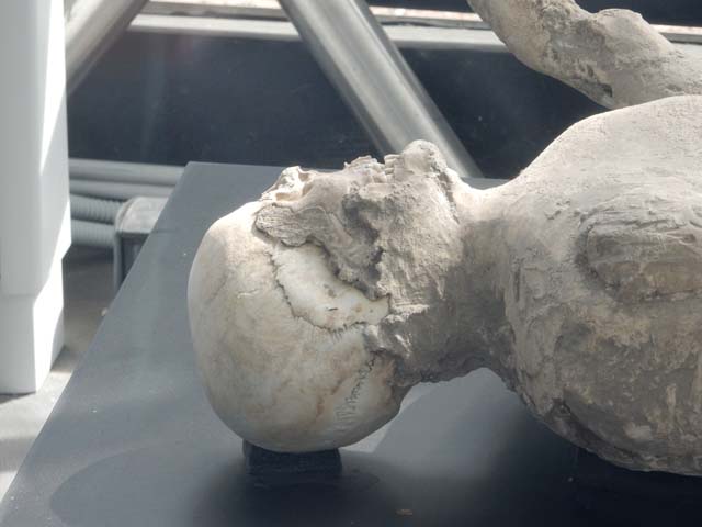 Pompeii Casts Victims 21 22 And Two Others Found In The Casa Del Criptoportico In July 1914 In The Garden Area