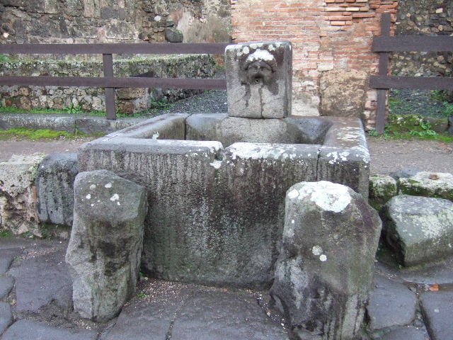 Fountain outside VII.1.32 and VII.1.33. December 2005.