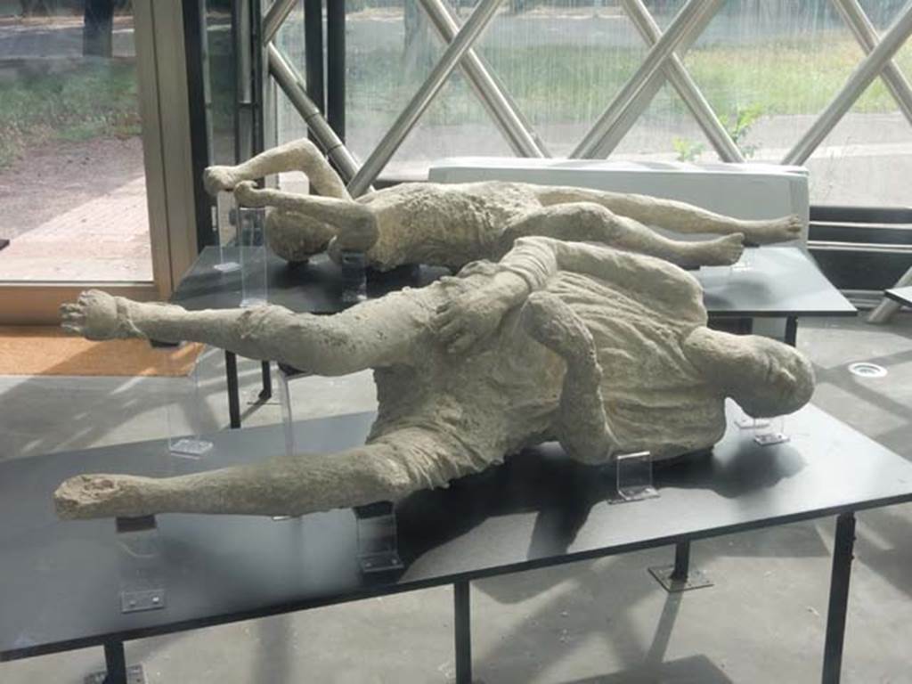 Pompeii. May 2018. General view of two more plaster-casts. Photo courtesy of Buzz Ferebee. 
At the rear is the plaster-cast of Victim known as no.14 or 15.
According to Garcia y Garcia, she was known as victim no.14.
This victim was recovered from near the Porta Stabia on 11th October 1889.
She had fallen face down but was always displayed as if she was found lying on her back.
See Garcia y Garcia, L., 2006. Danni di guerra a Pompei. Rome: L’Erma di Bretschneider. (p. 193-4, Figg. 451-3).
According to Dwyer, described as victim no. 15, this plaster cast was a woman of mature age.
She had been found lying face down on her stomach and half-clothed, her arms stretched before her.
See Dwyer, E., 2010. Pompeii’s Living Statues. Univ. of Michigan Press: (p.106-7)  

In the foreground is the plaster-cast known as Victim 16, the heavily-clothed man.
According to Notizie degli Scavi, (1890, P.128) the body of a man wrapped in his cloak and lying on his left side was found on 12th March 1890 in the excavations outside of the Stabian Gate. It was of a young man, of slender figure, lying on his left side, wound up in his cloak and wearing short pants which exposed his legs from above the knee. On his right foot could be clearly seen the sandal he was wearing.
See Dwyer, E., 2010. Pompeii’s Living Statues. Ann Arbor: Univ of Michigan Press. (p.107-8).
