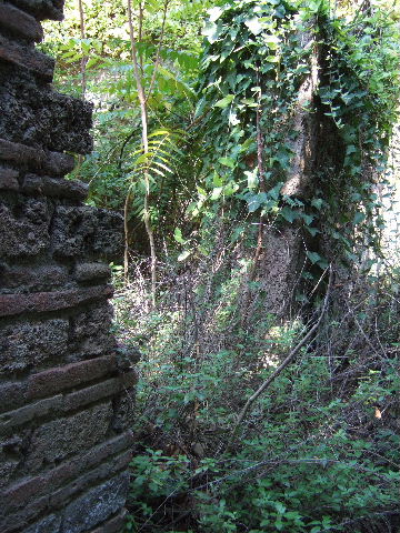 I.1.10 Pompeii. July 2008. Detail of feature down-pipe. Photo courtesy of Barry Hobson.