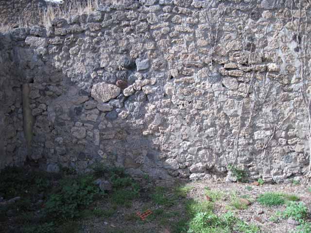 I.2.16 Pompeii.  March 2009. Room 4. Oecus. South east corner.