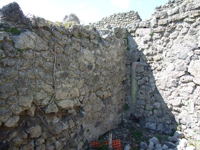 I.2.16 Pompeii.  March 2009.  Room 4.  Oecus.  North east corner.