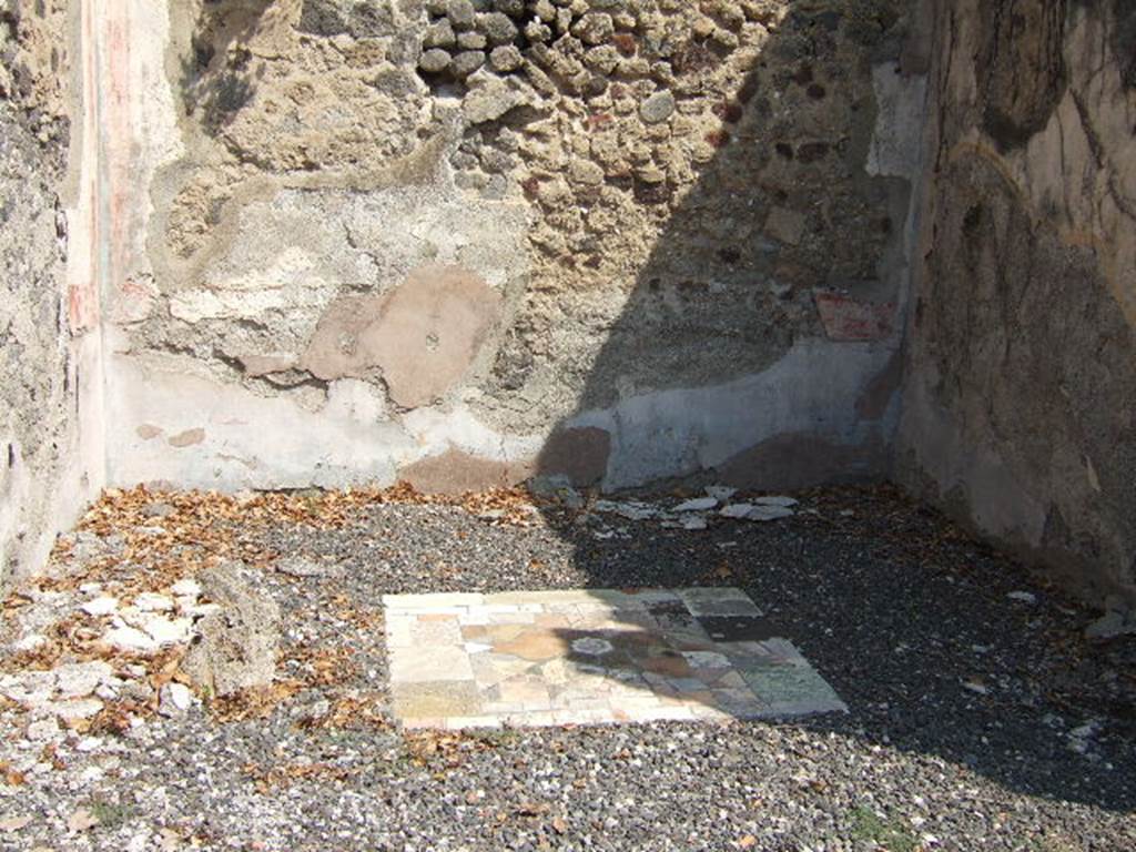 I.3.3 Pompeii.  May 2005.  Floor of Tablinum.