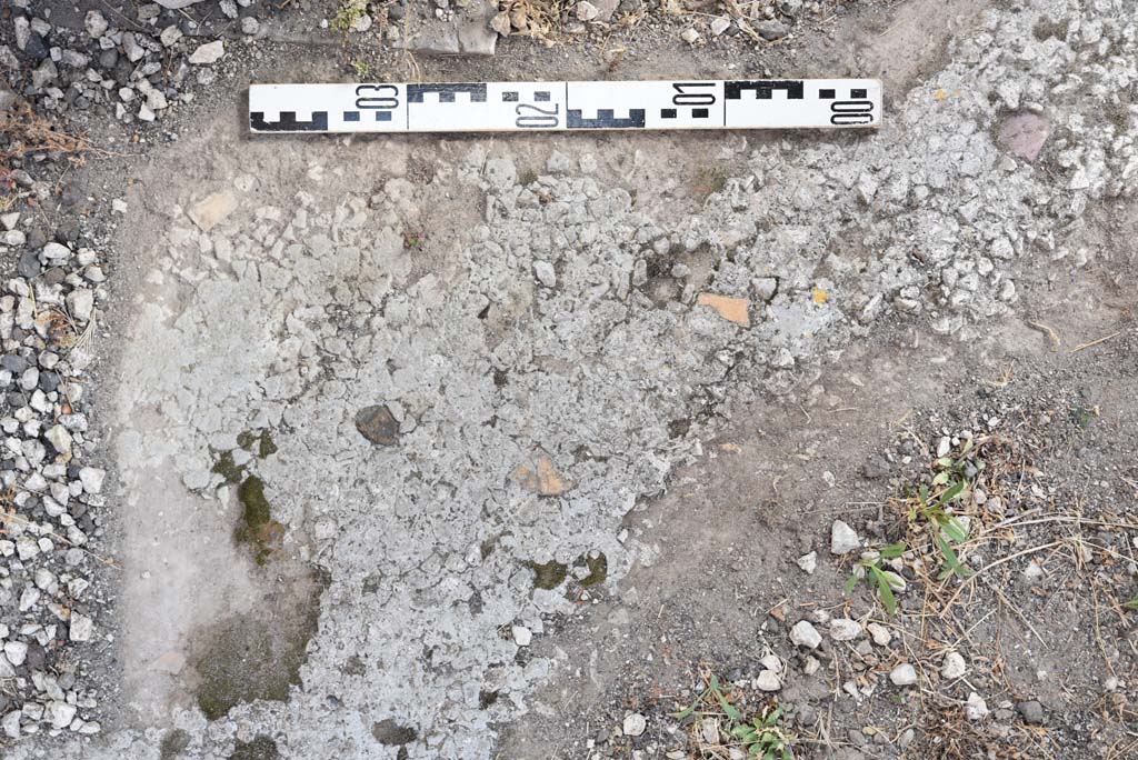 I.4.25 Pompeii. September 2020. Room 20, antechamber, detail of flooring in south-east corner.
Foto Tobias Busen, ERC Grant 681269 DÉCOR.
