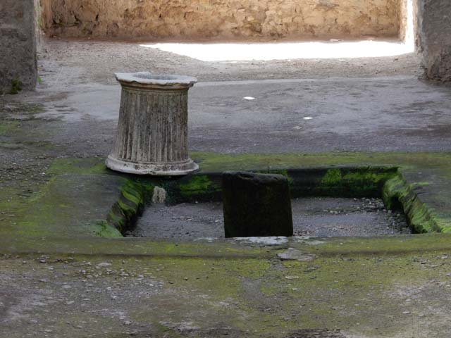 I.6.4 Pompeii. March 2009. Room 1, atrium. Impluvium and puteal.