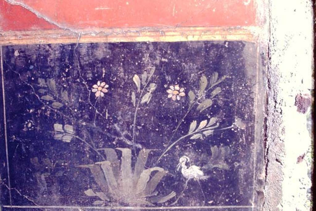I.6.4 Pompeii. 1968. Room 5, detail of black zoccolo with painted plant and bird on west wall in south-west corner.
Photo by Stanley A. Jashemski.
Source: The Wilhelmina and Stanley A. Jashemski archive in the University of Maryland Library, Special Collections (See collection page) and made available under the Creative Commons Attribution-Non Commercial License v.4. See Licence and use details.
J68f0461
