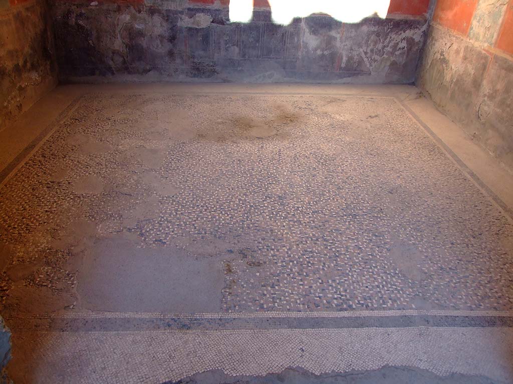 I.6.4 Pompeii. March 2009. Room 5, mosaic floor.