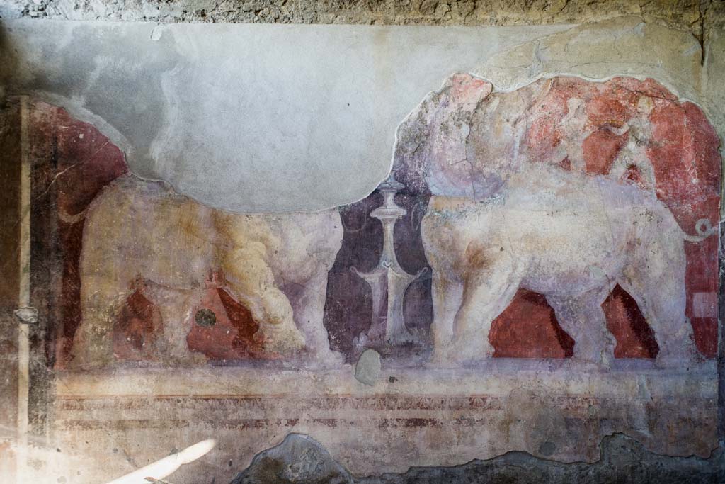 I.6.4 Pompeii. December 2021. Room 11, looking towards east wall. Photo courtesy of Johannes Eber.

