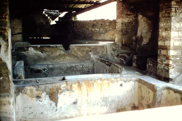I.6.7 Pompeii. 1959. Vats in south-east corner of Fullery. Photo by Stanley A. Jashemski.
Source: The Wilhelmina and Stanley A. Jashemski archive in the University of Maryland Library, Special Collections (See collection page) and made available under the Creative Commons Attribution-Non Commercial License v.4. See Licence and use details.
J59f0175

