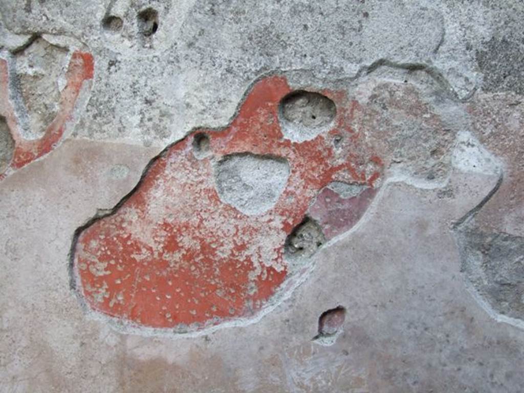 I.6.10 Pompeii. December 2007. Detail of painted plaster on east wall.