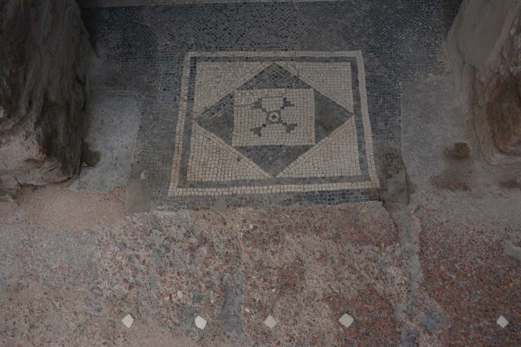 I.6.15 Pompeii. March 2019. Room 11, mosaic in doorway.      
Foto Annette Haug, ERC Grant 681269 DCOR

