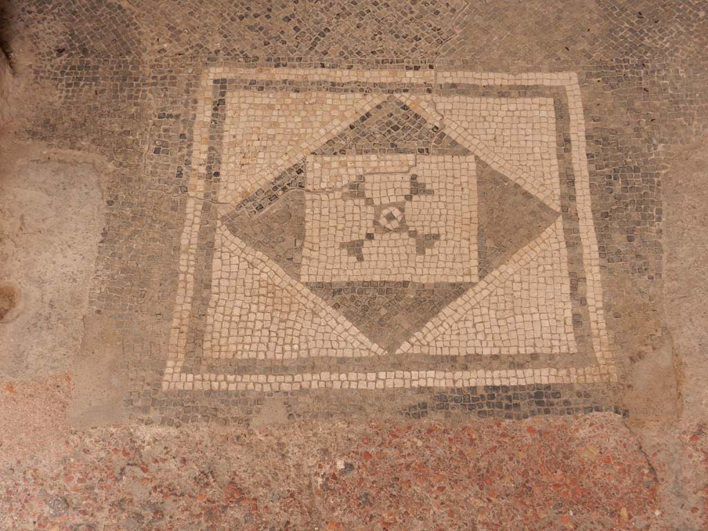 I.6.15 Pompeii. June 2019. Room 11, mosaic floor in doorway. Photo courtesy of Buzz Ferebee.