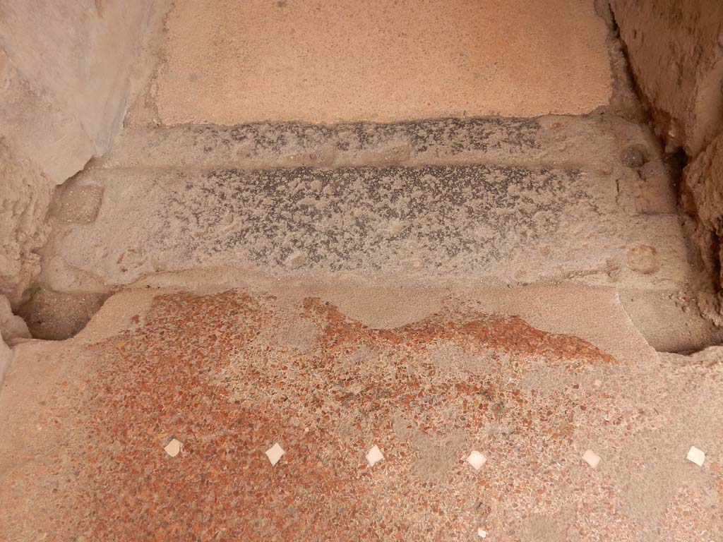 I.6.15 Pompeii. June 2019. Doorway threshold from room 9, to corridor 7, looking south.
Photo courtesy of Buzz Ferebee. 
