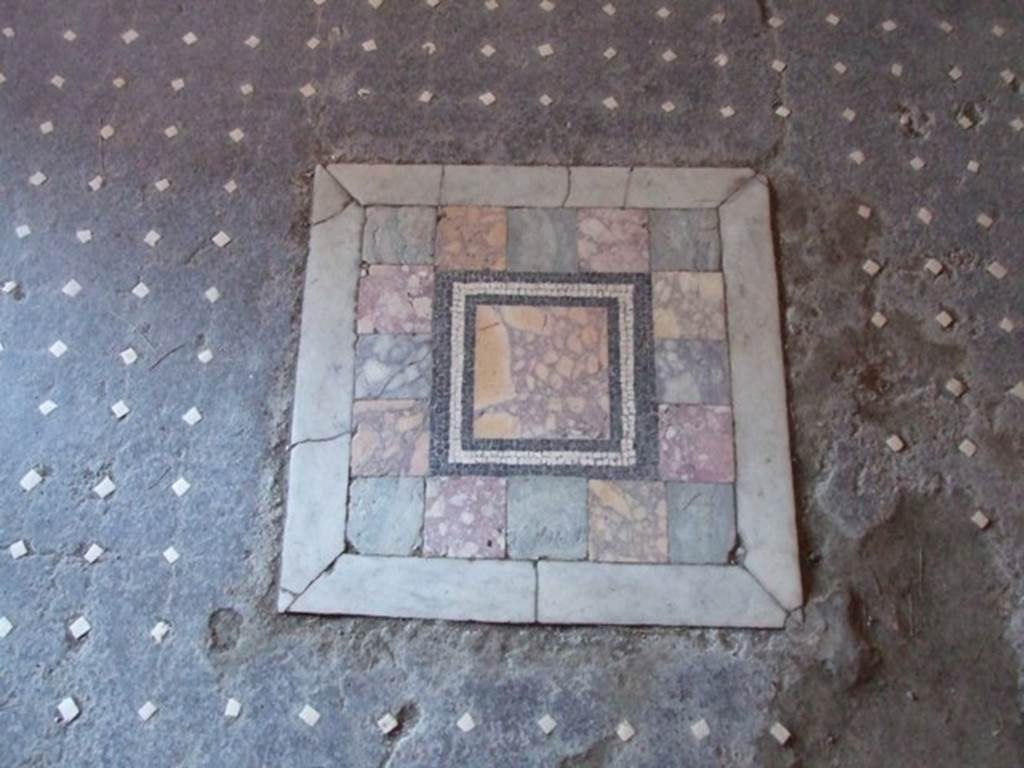 I.6.15 Pompeii.  March 2009.  Room 12, emblema of coloured marble in centre of mosaic floor.
