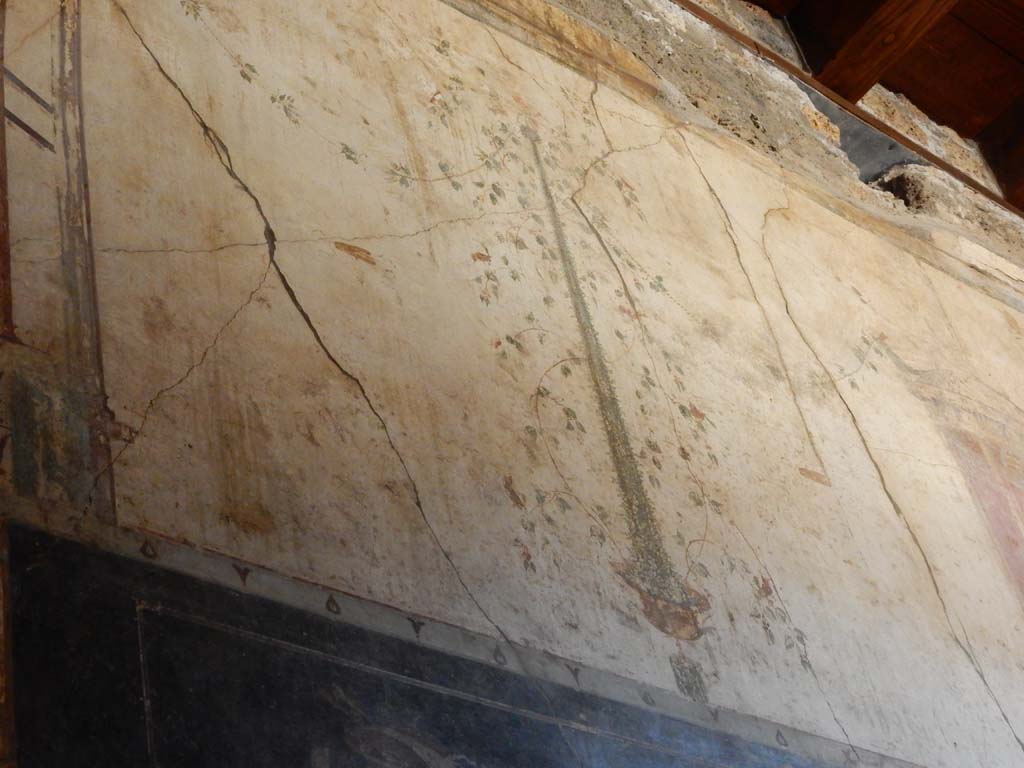 I.6.15 Pompeii. June 2019. Room 12, detail of upper west wall. Photo courtesy of Buzz Ferebee.