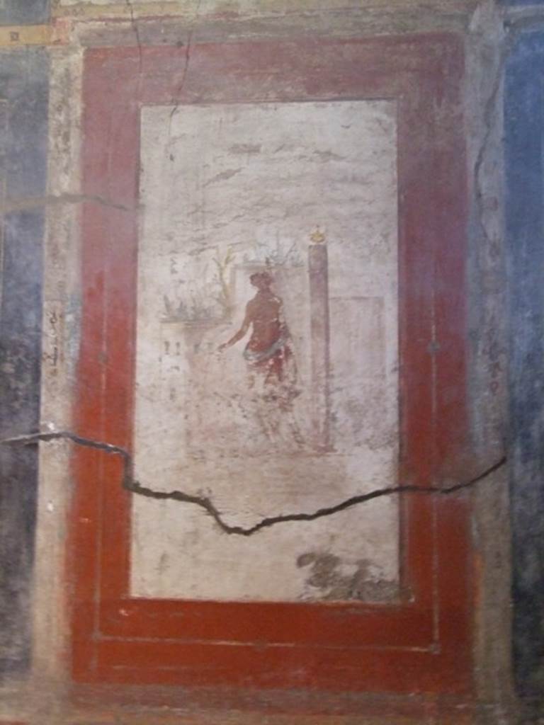 I.6.15 Pompeii.  March 2009.  Room 12, west wall.  Central panel of Dionysus.  See Bragantini, de Vos, Badoni, 1981. Pitture e Pavimenti di Pompei, Parte 1. Rome: ICCD. (p. 42)

