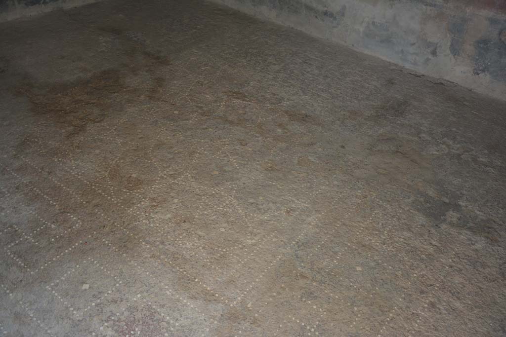 I.6.15 Pompeii. October 2019. Room 13, detail of flooring in cubiculum.        
Foto Annette Haug, ERC Grant 681269 DCOR
