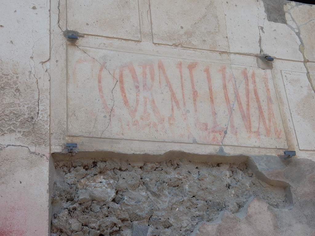 I.6.15 Pompeii. June 2019. Graffito found on front of house, to right of entrance.
C(aium)  Cornelium
aed(ilem)  Tyrsus  [ro]gat     [CIL IV 7190]
Photo courtesy of Buzz Ferebee.

