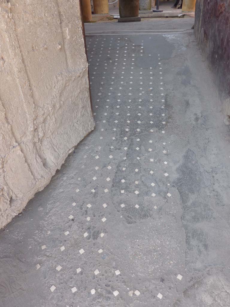 I.6.15 Pompeii. October 2014. Entrance corridor or fauces with patterned floor.           
Foto Annette Haug, ERC Grant 681269 DCOR
