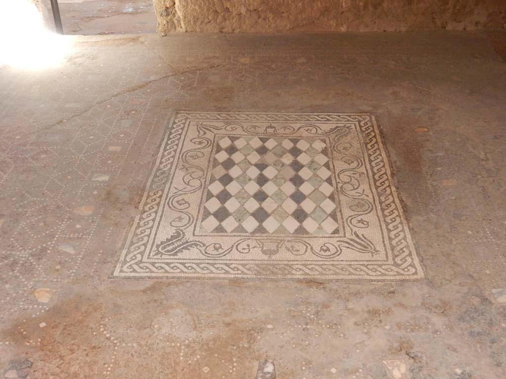 I.6.15 Pompeii. June 2019. Room 6, looking south across mosaic flooring in tablinum. Photo courtesy of Buzz Ferebee.

