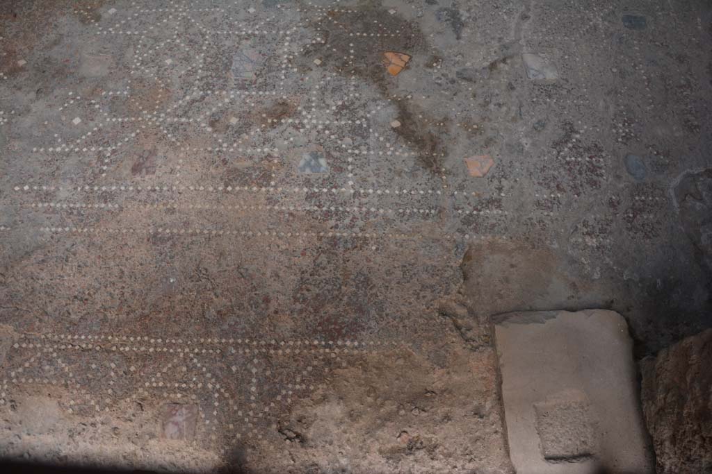 I.6.15 Pompeii. March 2019. Room 6, flooring in tablinum.
Foto Annette Haug, ERC Grant 681269 DCOR

